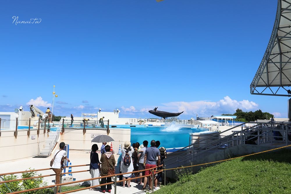 沖繩必買票券》Okinawa Enjoy Pass景點+美麗海水族館通票,自由行這樣玩 - Nana愛旅行札記