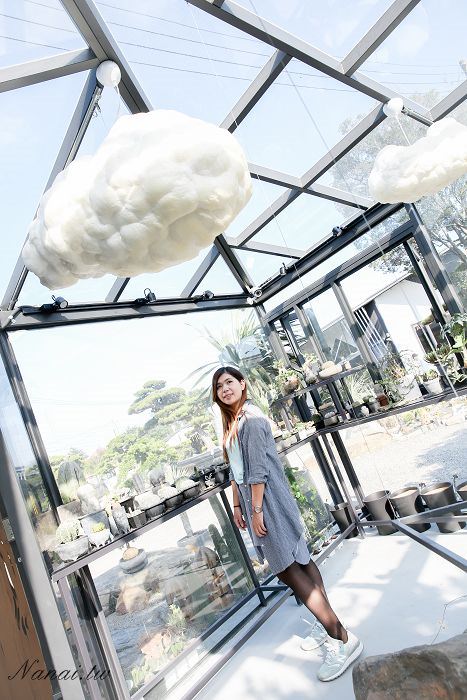 彰化田尾》酉Succulent & Artwork。簡約清水模與雲朵造景夢幻玻璃溫室,宛如綠植藝術館 - Nana愛旅行札記