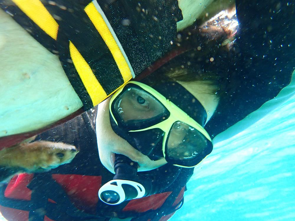 小琉球》小海龜浮潛店。帶寵物一起浮潛,與海龜共遊,欣賞美麗海底世界 - Nana愛旅行札記