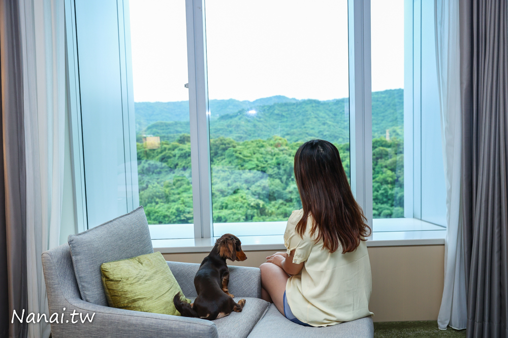 台北六福萬怡酒店，寵物也能住五星級飯店，還送下午茶、早餐、玩具 - Nana愛旅行札記