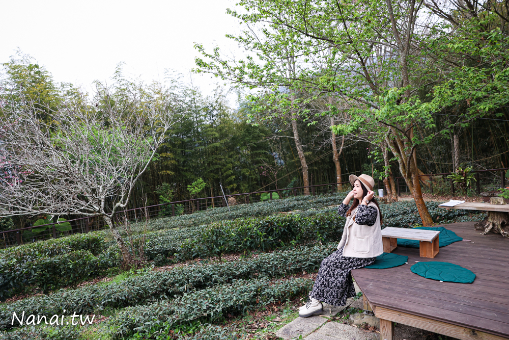 嘉義梅山鄉秘境，山角鐵茶屋採全預約制，品一杯好茶 - Nana愛旅行札記