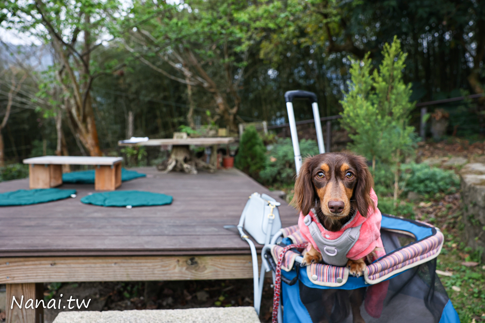 嘉義梅山鄉秘境，山角鐵茶屋採全預約制，品一杯好茶 - Nana愛旅行札記