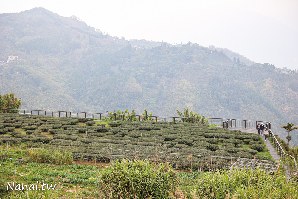 嘉義梅山鄉秘境，山角鐵茶屋採全預約制，品一杯好茶 - Nana愛旅行札記