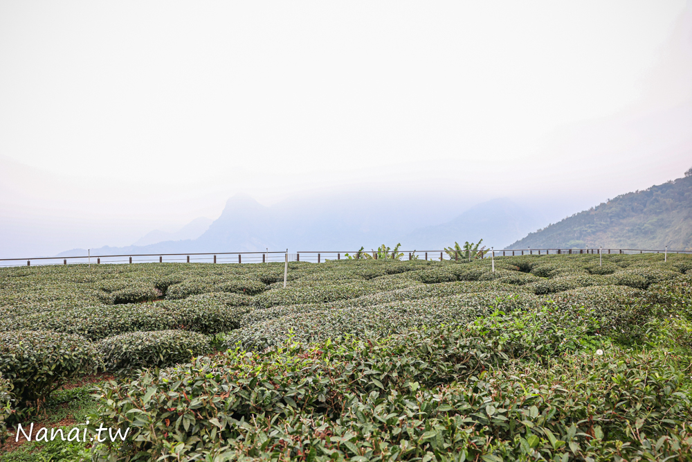 嘉義梅山鄉秘境，山角鐵茶屋採全預約制，品一杯好茶 - Nana愛旅行札記