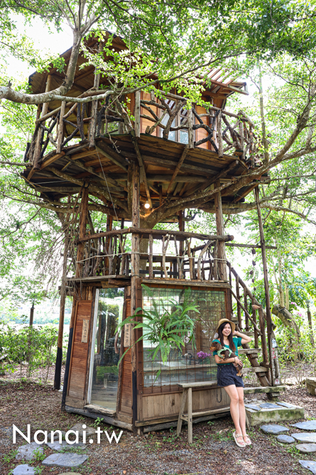 南投埔里嫁婆咖啡！森林系秘境手工樹屋 - Nana愛旅行札記