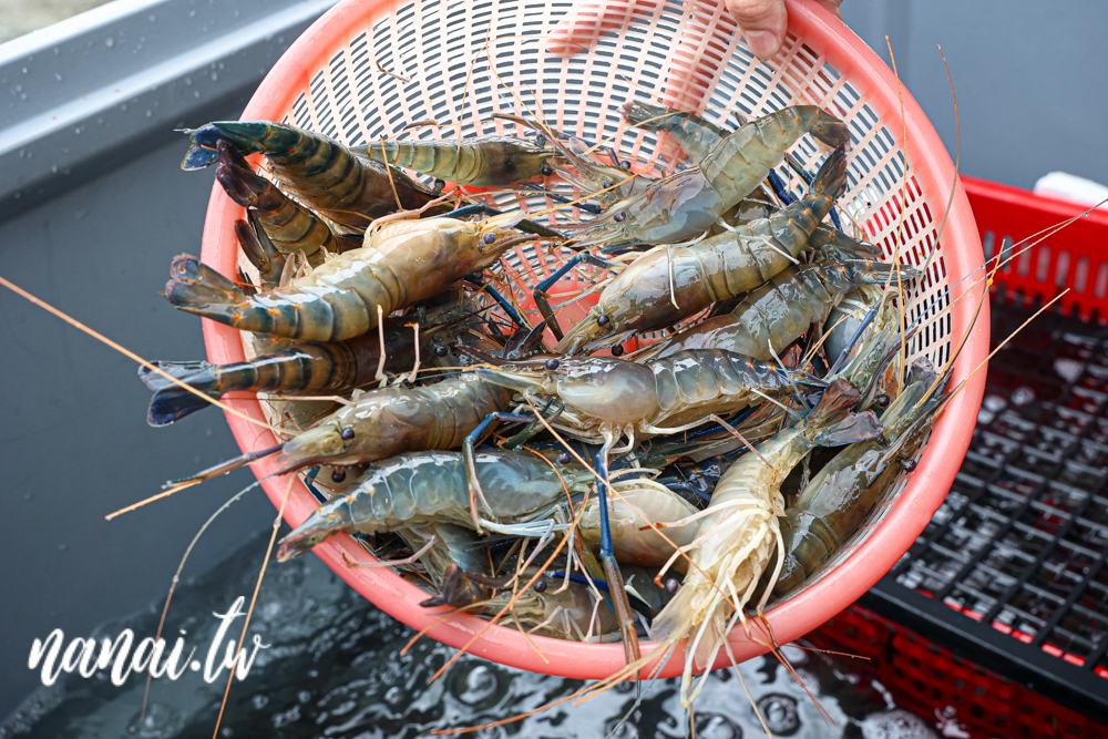 就是愛海鮮！彰化最狂海鮮肉品批發，廠內有冷氣開放～活體泰國蝦、生魚片、冷藏牛，還有買一送一限時活動 - Nana愛旅行札記