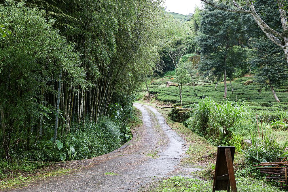 第8露|南投竹山亨野草堂。絕美天然系高海拔營地，森林系五星級衛浴 - Nana愛旅行札記