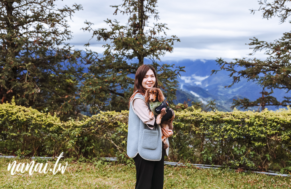 苗栗泰安天晴野舍露營區！高海拔營區、雲海大爆發、五星級淋浴間 - Nana愛旅行札記