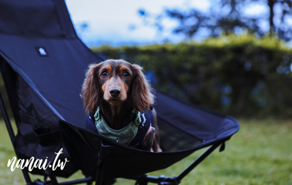 苗栗泰安天晴野舍露營區！高海拔營區、雲海大爆發、五星級淋浴間 - Nana愛旅行札記