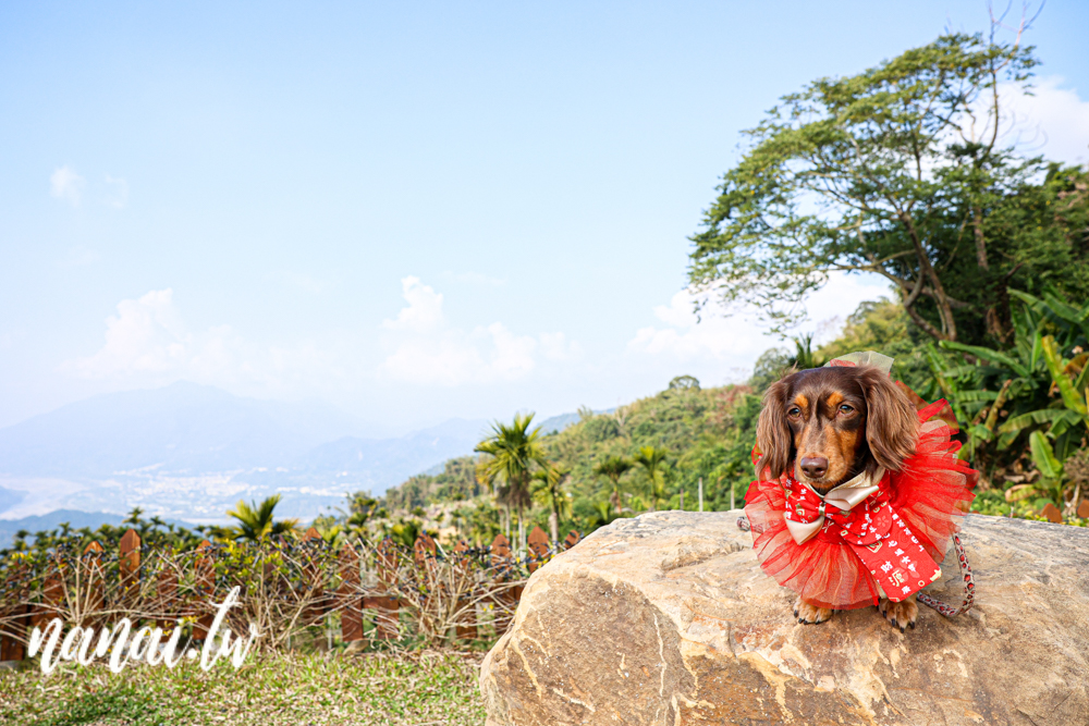 南投水里邊界Boundary露營區，一帳包區，五星級衛浴，夜景觀景視野 - Nana愛旅行札記