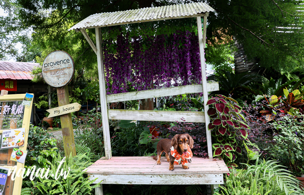 台中普羅旺斯庭園餐廳。隱身新社好吃排餐,點排餐和火鍋享飲料咖啡自助吧 - Nana愛旅行札記 台中普羅旺斯庭園餐廳。隱身新社好吃排餐,點排餐和火鍋享飲料咖啡自助吧 - Nana愛旅行札記
