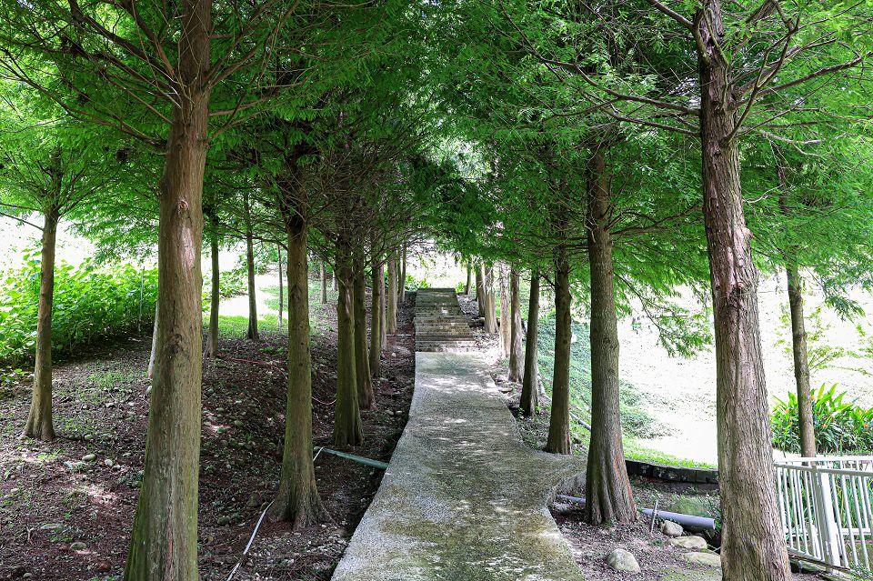 台中普羅旺斯庭園餐廳。隱身新社好吃排餐,點排餐和火鍋享飲料咖啡自助吧 - Nana愛旅行札記 台中普羅旺斯庭園餐廳。隱身新社好吃排餐,點排餐和火鍋享飲料咖啡自助吧 - Nana愛旅行札記