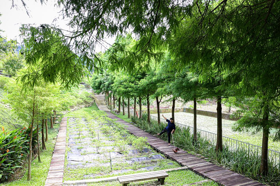 台中普羅旺斯庭園餐廳。隱身新社好吃排餐,點排餐和火鍋享飲料咖啡自助吧 - Nana愛旅行札記 台中普羅旺斯庭園餐廳。隱身新社好吃排餐,點排餐和火鍋享飲料咖啡自助吧 - Nana愛旅行札記