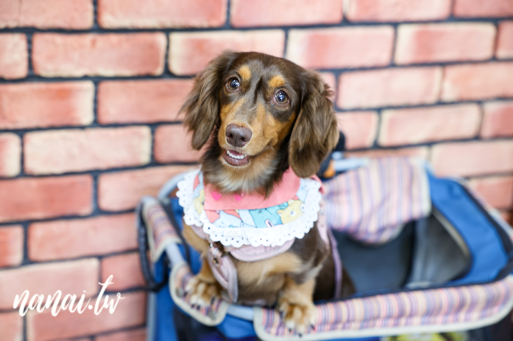 台中西屯新開萬家粉、麵館!必點招牌牛肉麵和麻辣特滷,吃過會再回訪 - Nana愛旅行札記 台中西屯新開萬家粉、麵館!必點招牌牛肉麵和麻辣特滷,吃過會再回訪 - Nana愛旅行札記