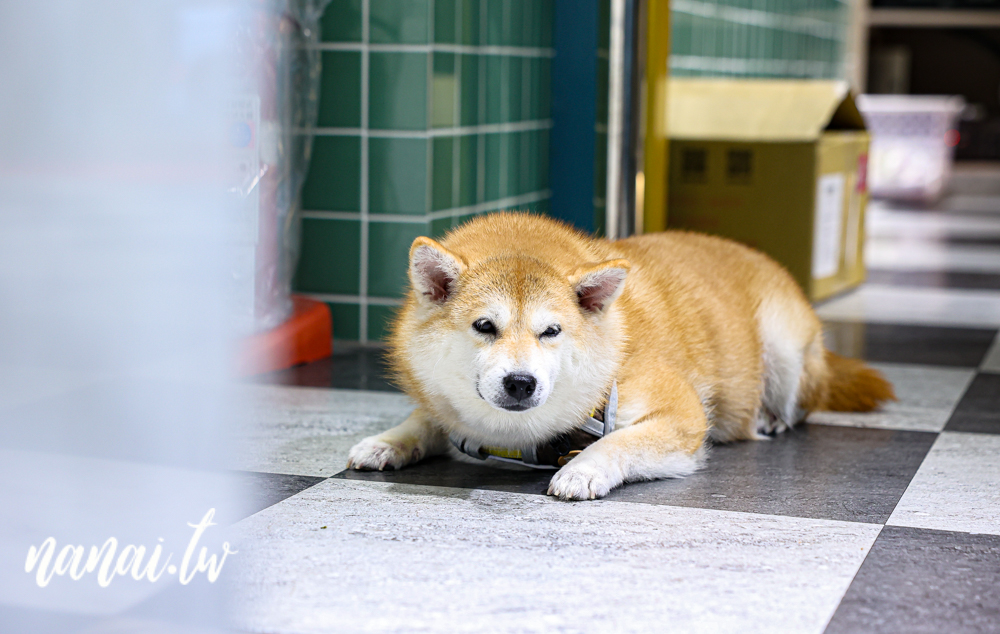 養鍋石頭涮涮鍋員林大同店！40多種蔬菜自助吧，白飯,飲料,冰淇淋任你吃 - Nana愛旅行札記