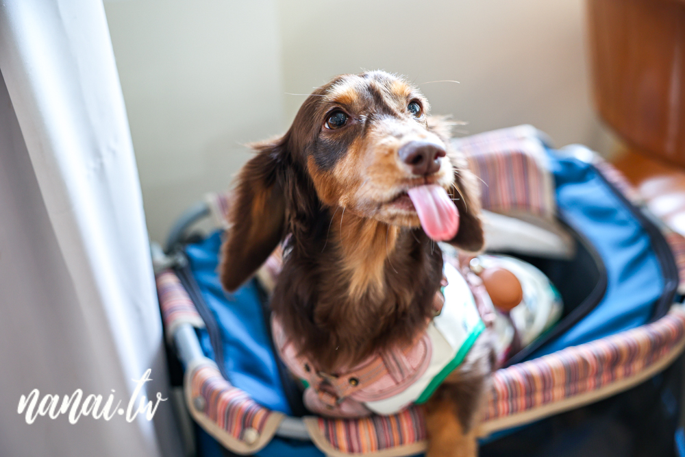 青坐請坐鍋物專科！嘉義火車站旁質感個人鍋物，飲料無限暢飲 - Nana愛旅行札記