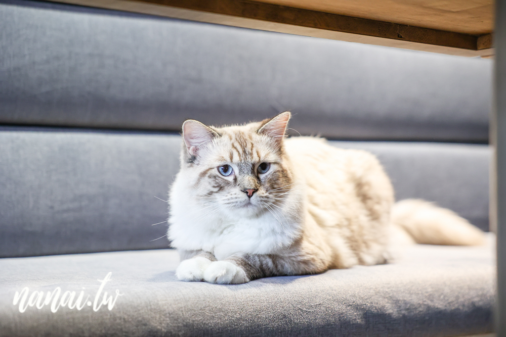 南投魚池住宿推薦3JD.HOME(一館)，魚池街溫馨民宿 - Nana愛旅行札記