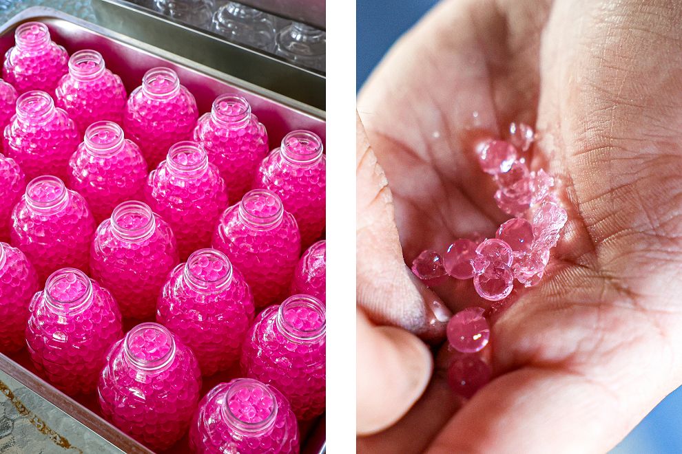 可可沃莊園！原來永靖可以這樣玩，水彈槍遊戲、烤肉、食農教育DIY - Nana愛旅行札記