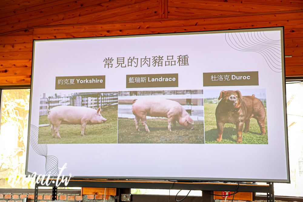 可可沃莊園！原來永靖可以這樣玩，水彈槍遊戲、烤肉、食農教育DIY - Nana愛旅行札記