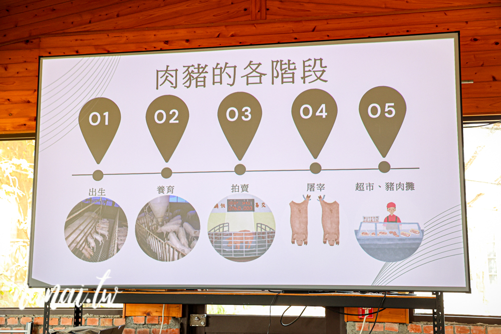 可可沃莊園！原來永靖可以這樣玩，水彈槍遊戲、烤肉、食農教育DIY - Nana愛旅行札記