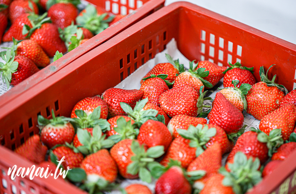 芳甜製餅所(紅豆餅)專賣店！社頭人才知道，每天新鮮現做，厚實內餡多、冬季限定草莓大福 - Nana愛旅行札記