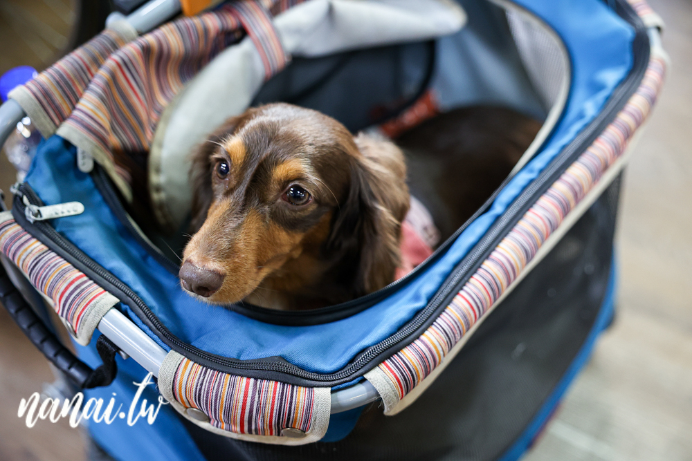 鹿港旅遊新玩法！鹿港時代玩進鹿港過去、新口味鹿港店台式下午茶 - Nana愛旅行札記