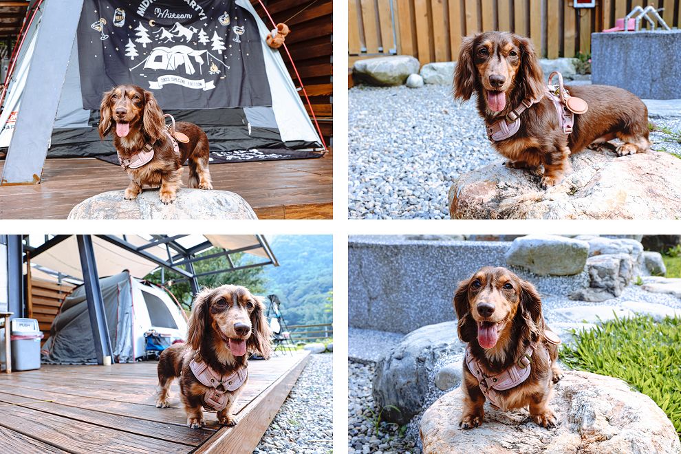 台中和平柏冷翠休閒農場！柴燒獨立景觀區，獨立戶外溫泉風呂 - Nana愛旅行札記