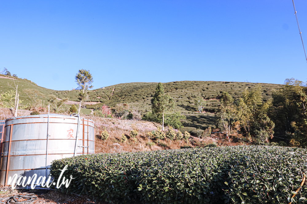 嘉義梅山振峯茶園碧湖山營區！睡在海拔1100公尺的茶園裡，近太平雲梯、太平老街 - Nana愛旅行札記