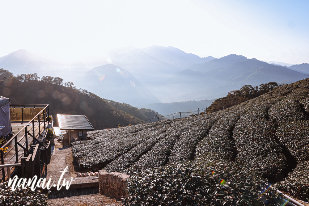 嘉義梅山振峯茶園碧湖山營區！睡在海拔1100公尺的茶園裡，近太平雲梯、太平老街 - Nana愛旅行札記