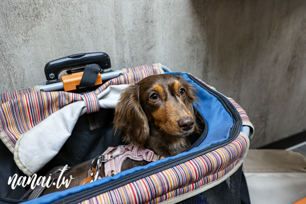 餅霸天下×粉漿脆皮蛋餅！彰師大附近現點現做脆皮粉漿蛋餅，必點霸味雙豬 - Nana愛旅行札記