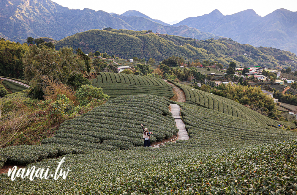 嘉義梅山瑞峰村海鼠山一三一四觀景台，360度茶園美景 - Nana愛旅行札記
