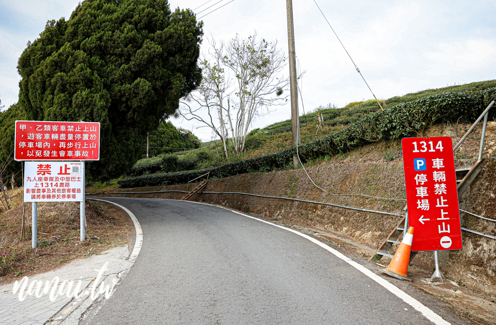 嘉義梅山瑞峰村海鼠山一三一四觀景台，360度茶園美景 - Nana愛旅行札記