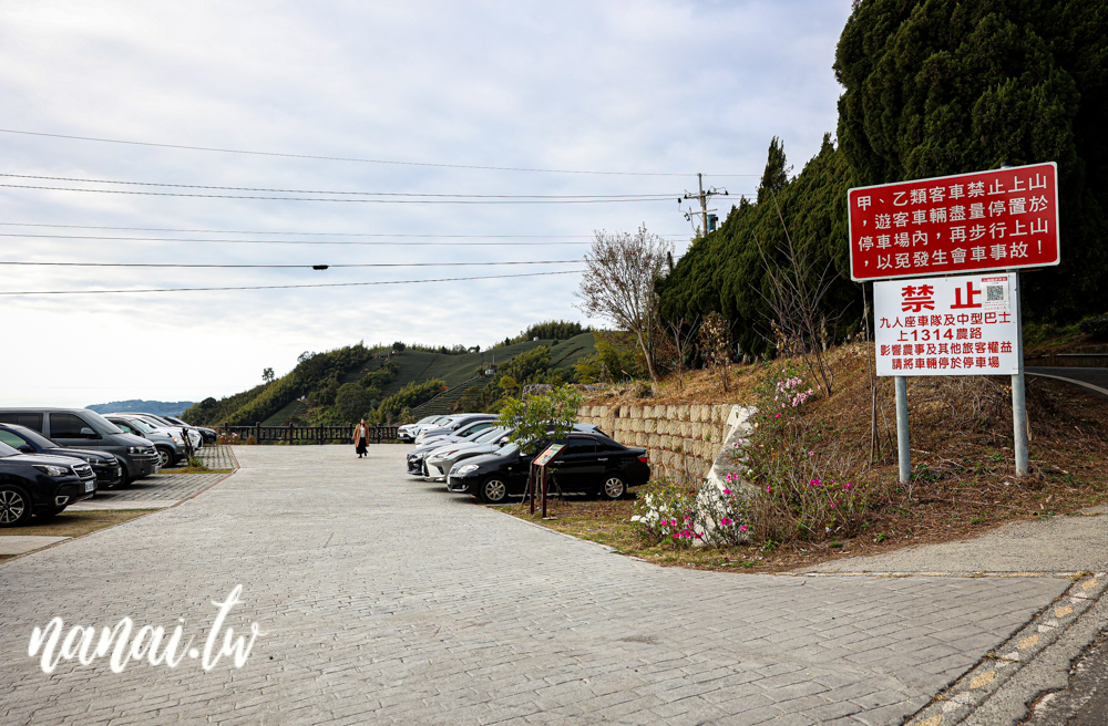 嘉義梅山瑞峰村海鼠山一三一四觀景台，360度茶園美景 - Nana愛旅行札記
