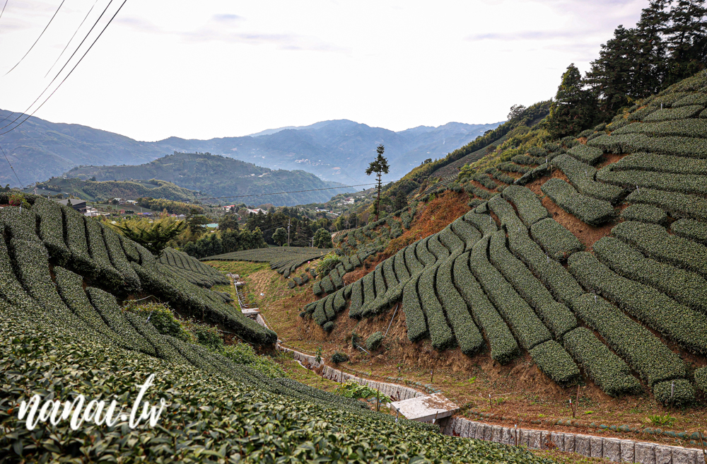 嘉義梅山瑞峰村海鼠山一三一四觀景台，360度茶園美景 - Nana愛旅行札記