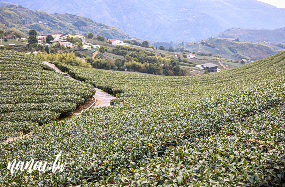 嘉義梅山瑞峰村海鼠山一三一四觀景台，360度茶園美景 - Nana愛旅行札記