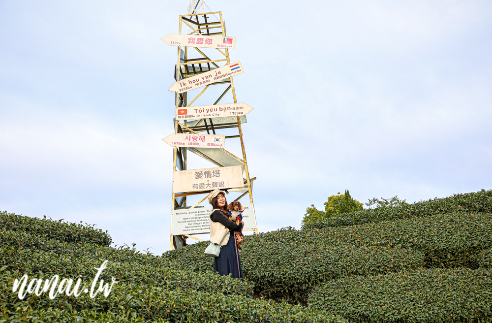 嘉義梅山瑞峰村海鼠山一三一四觀景台，360度茶園美景 - Nana愛旅行札記