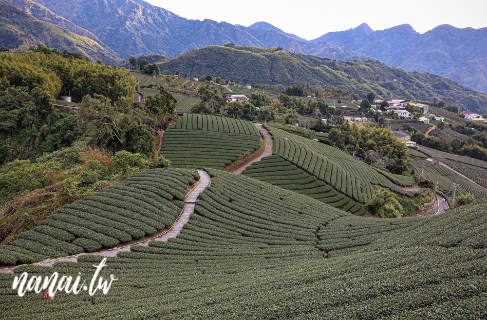 嘉義梅山瑞峰村海鼠山一三一四觀景台，360度茶園美景 - Nana愛旅行札記