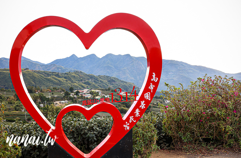嘉義梅山瑞峰村海鼠山一三一四觀景台，360度茶園美景 - Nana愛旅行札記