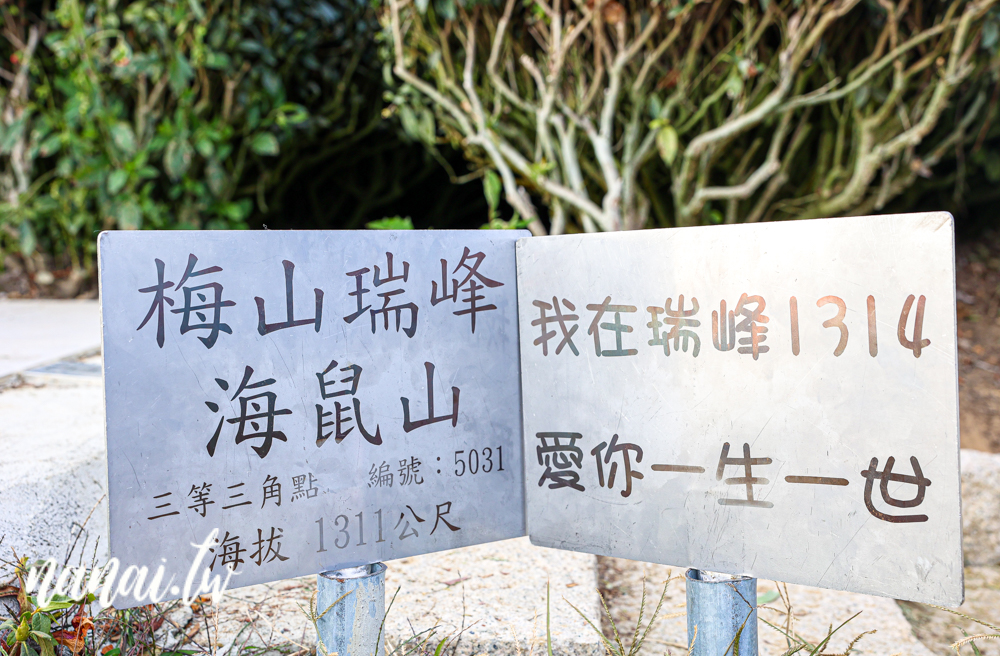 嘉義梅山瑞峰村海鼠山一三一四觀景台，360度茶園美景 - Nana愛旅行札記