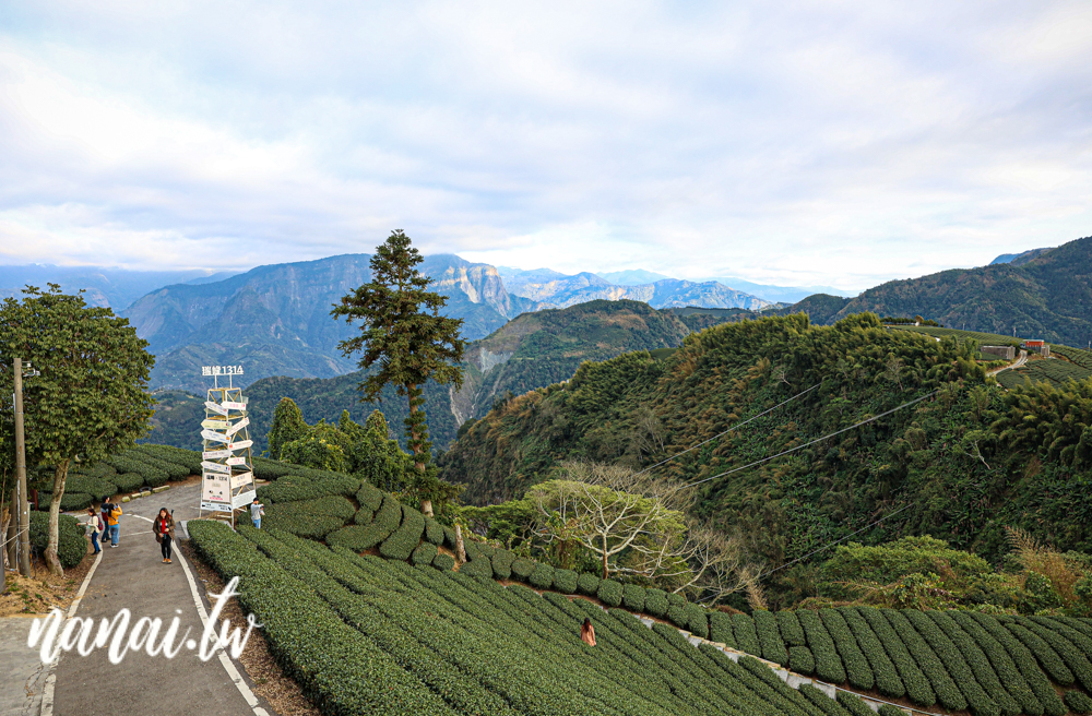 嘉義梅山瑞峰村海鼠山一三一四觀景台，360度茶園美景 - Nana愛旅行札記