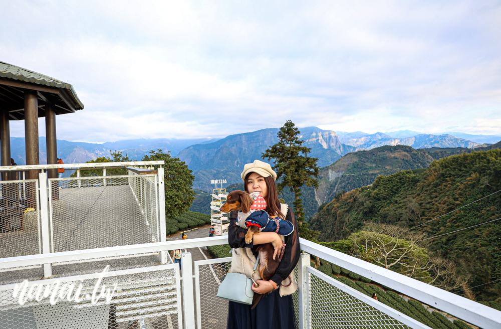 嘉義梅山瑞峰村海鼠山一三一四觀景台，360度茶園美景 - Nana愛旅行札記