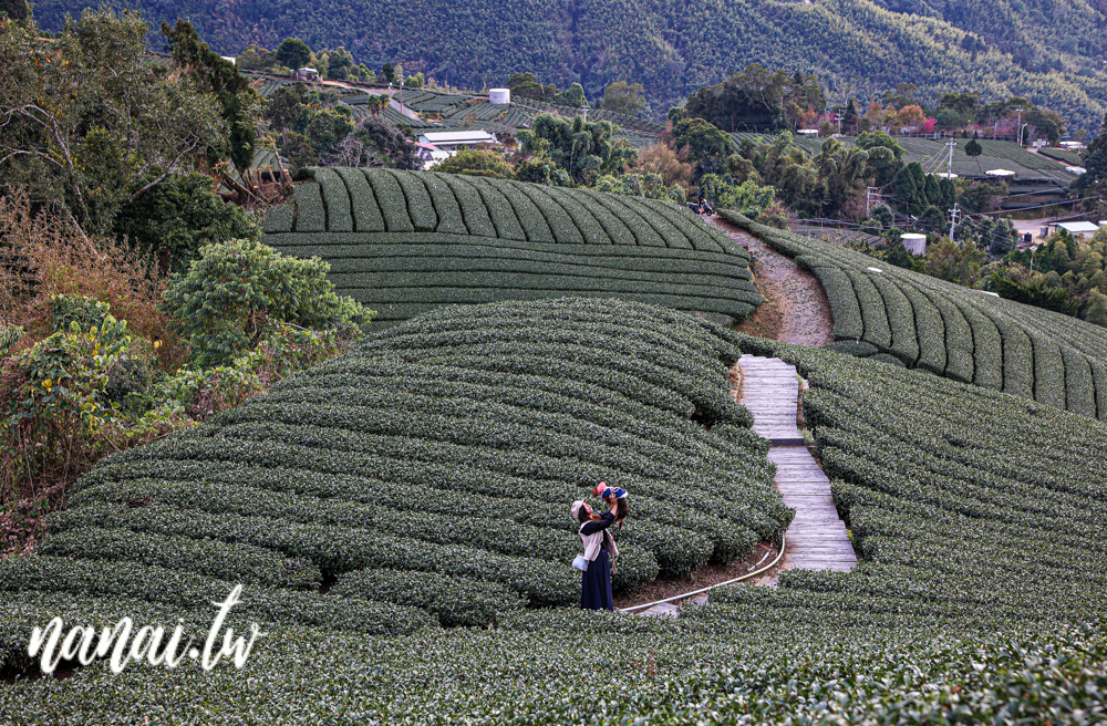 嘉義梅山瑞峰村海鼠山一三一四觀景台，360度茶園美景 - Nana愛旅行札記