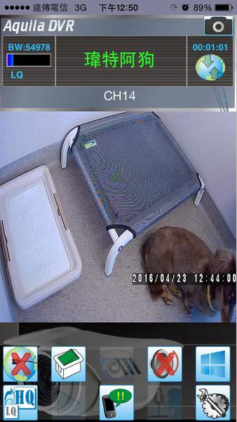 台中狗旅館視訊系統